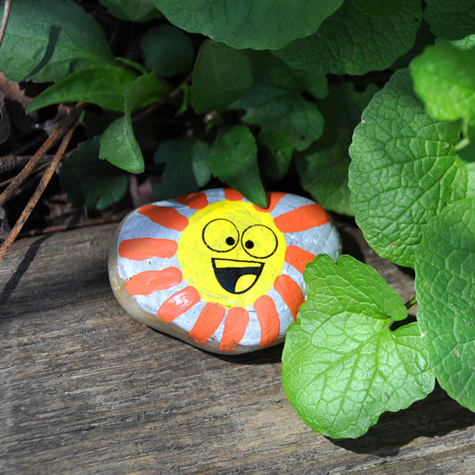 Hide & Seek Rock Painting Kit from Creativity for Kids