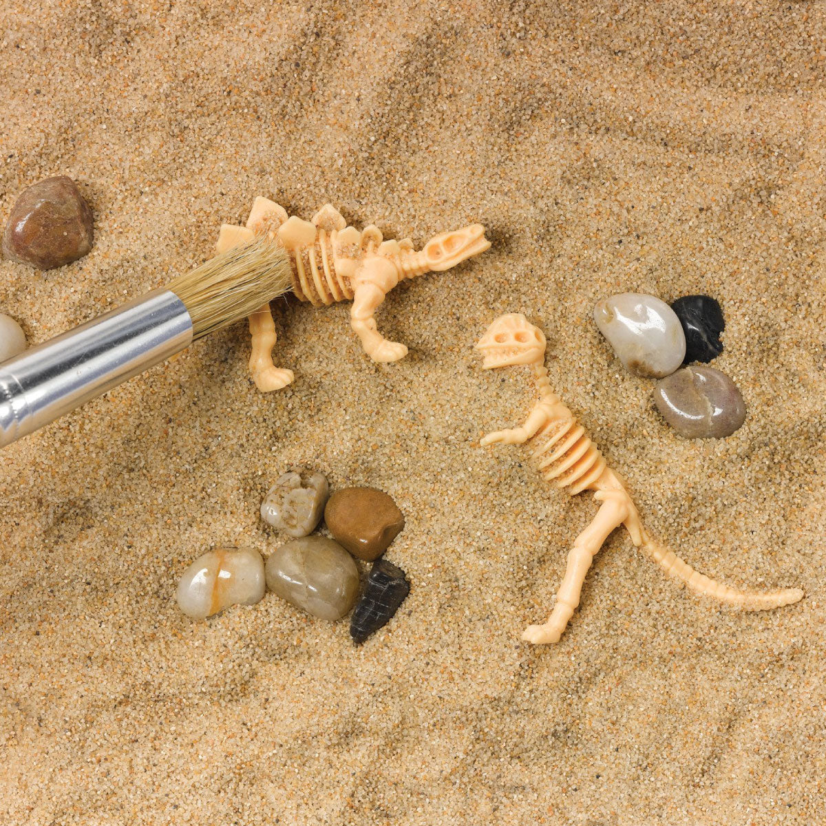 Sensory Bin Dinosaur Dig from Creativity for Kids