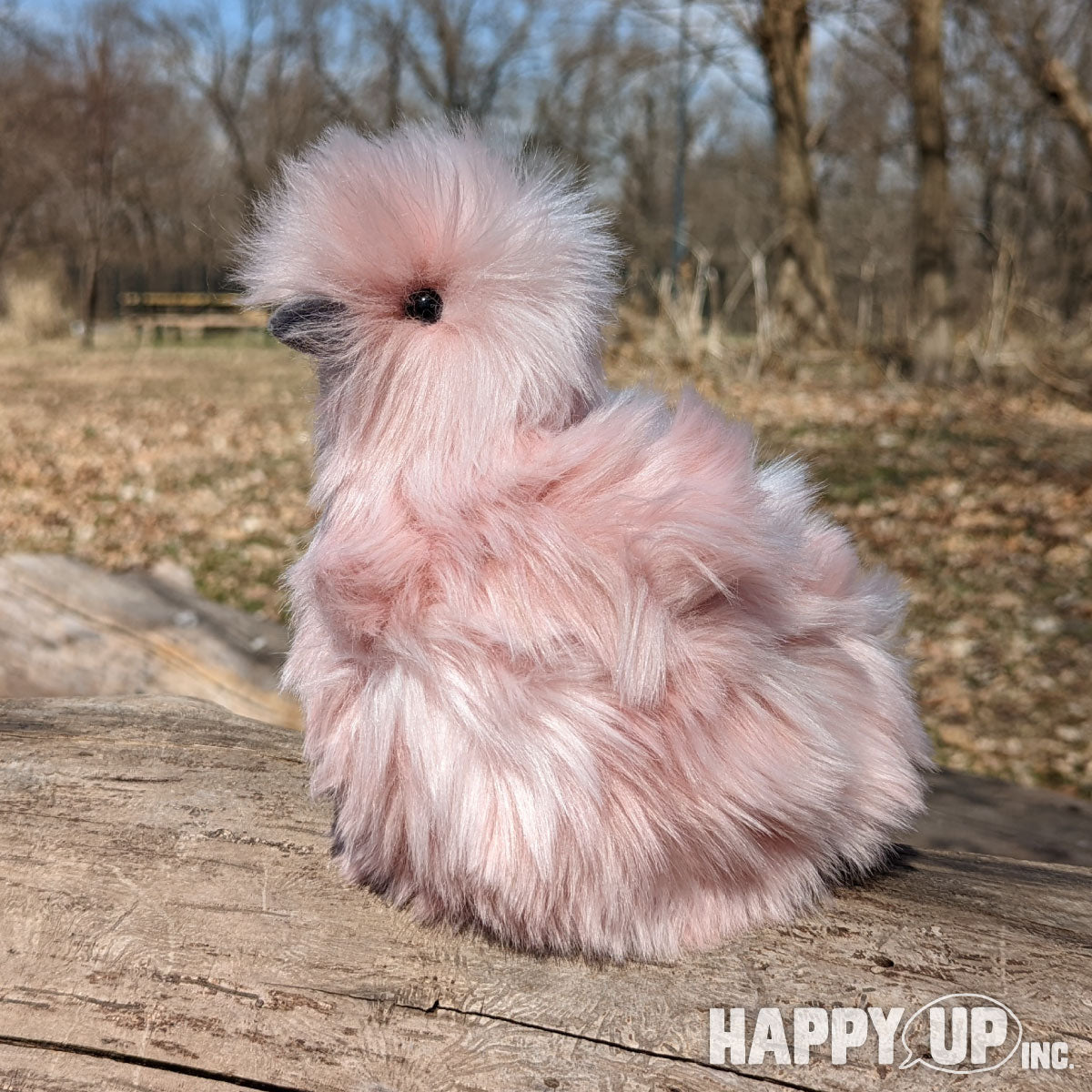 Mara Pink Silkie Chick from Douglas