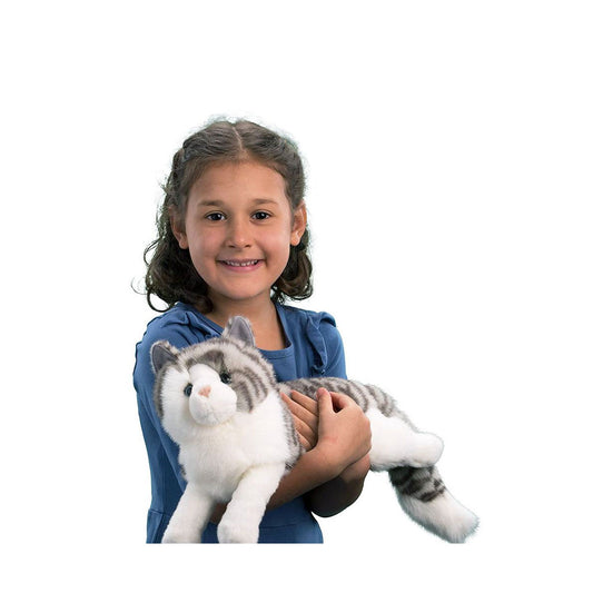 Smokey Gray Cat from Douglas