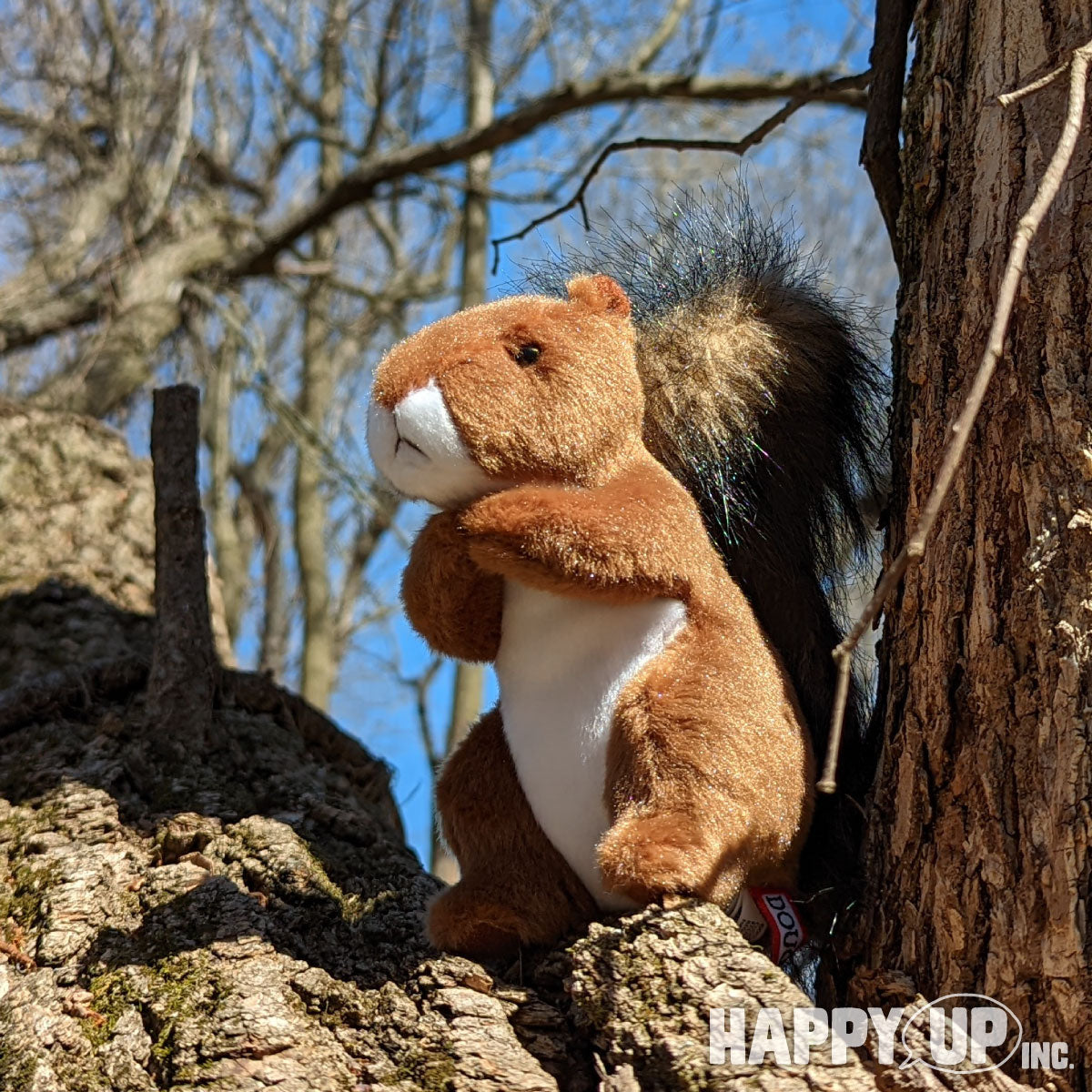 Roadie the Red Squirrel from Douglas