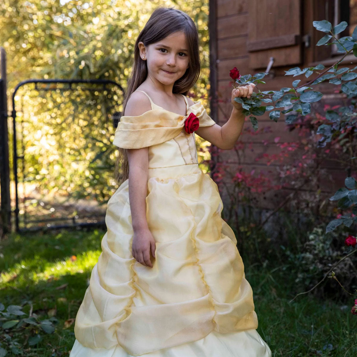 Boutique Belle Gown