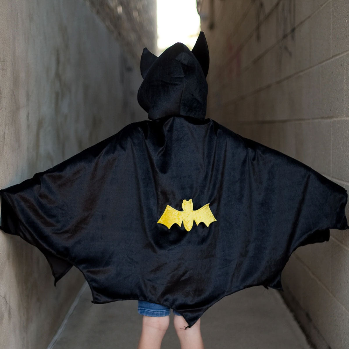 Bat Cape with Hood