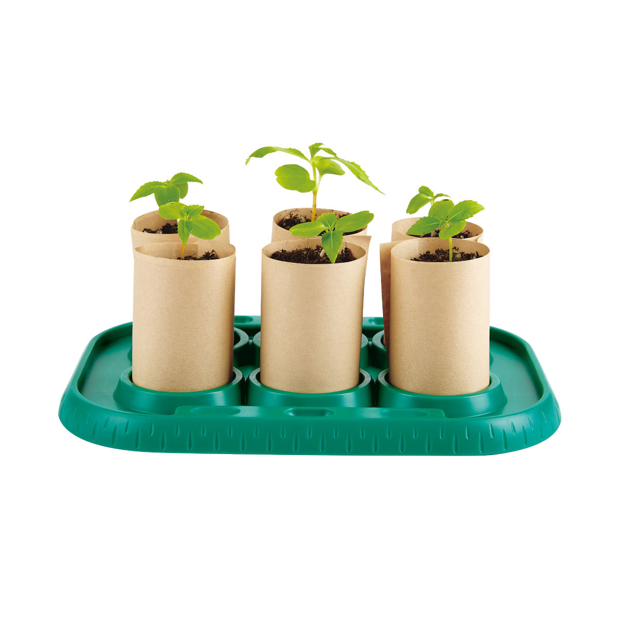 Hape Growing Gardeners Greenhouse