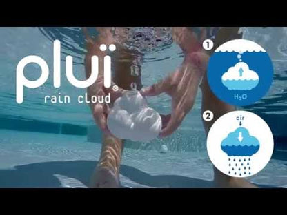 Pluï Weather Sunny Brush + Raincloud