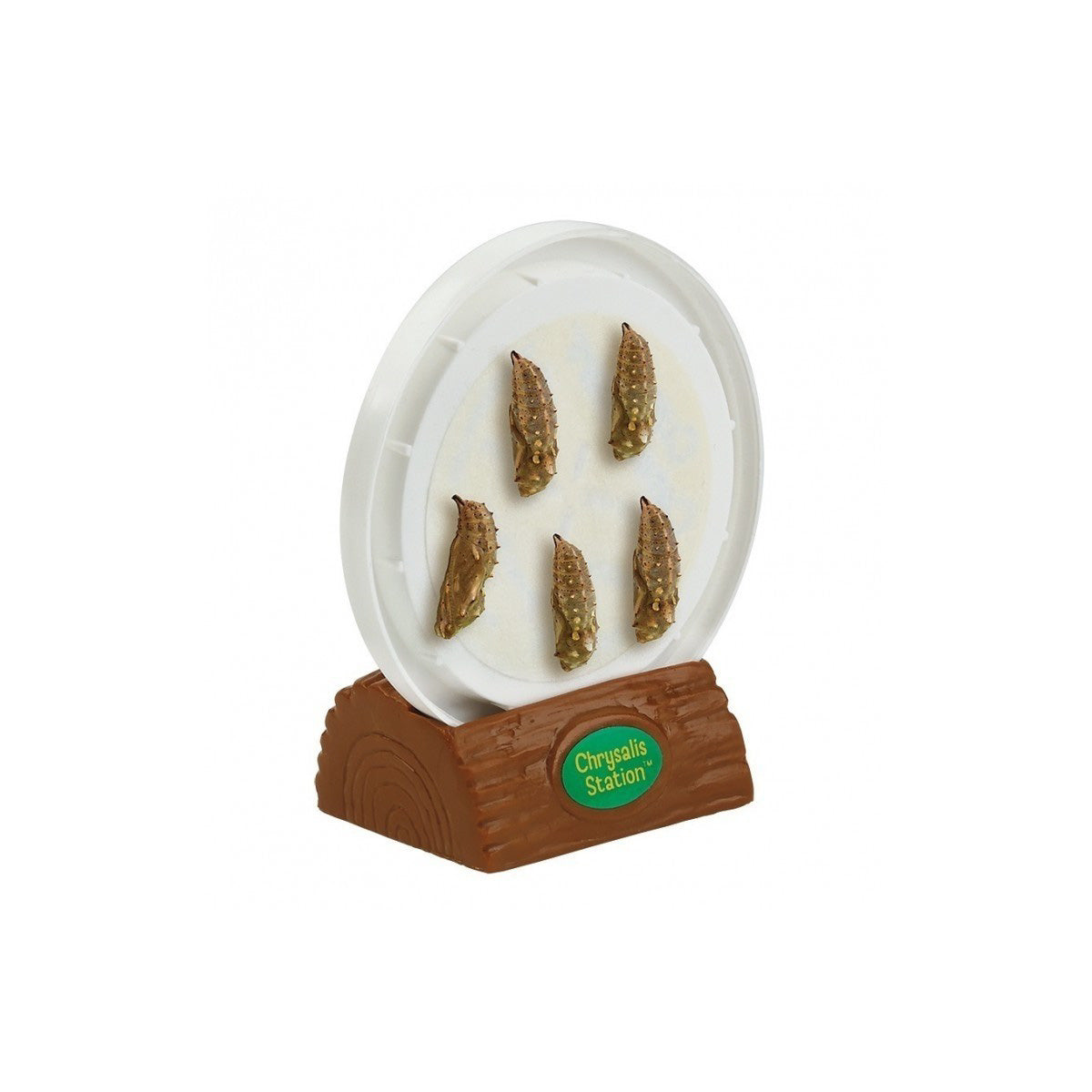 Insect Lore Butterfly Garden with Feeder – Happy Up Inc Toys & Games