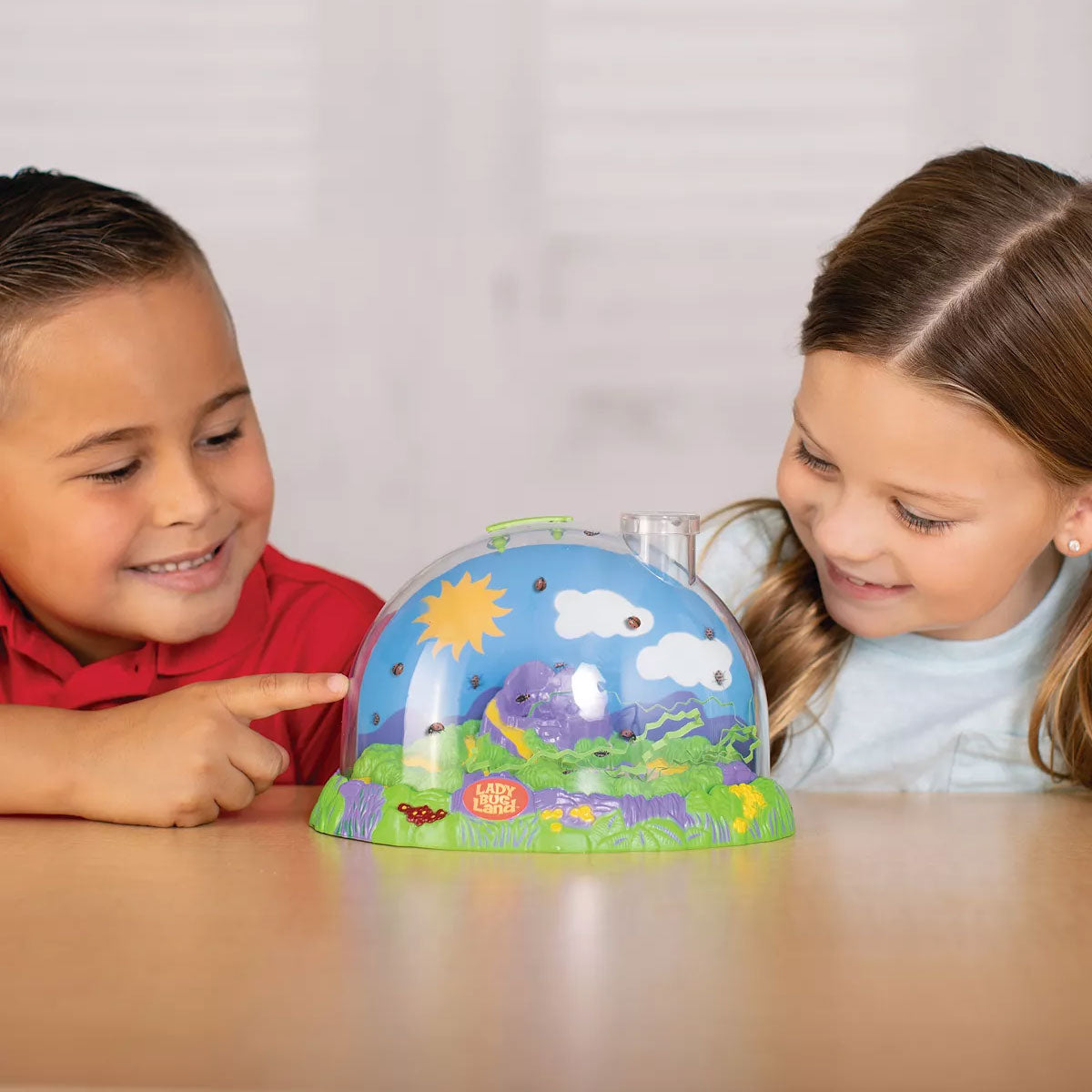 Insect Lore Ladybug Land