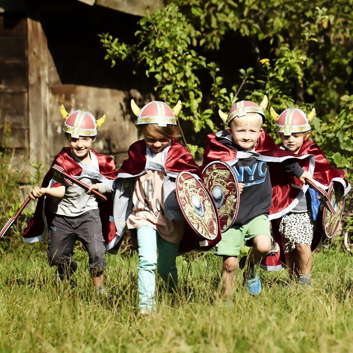 Viking Costumes from Liontouch