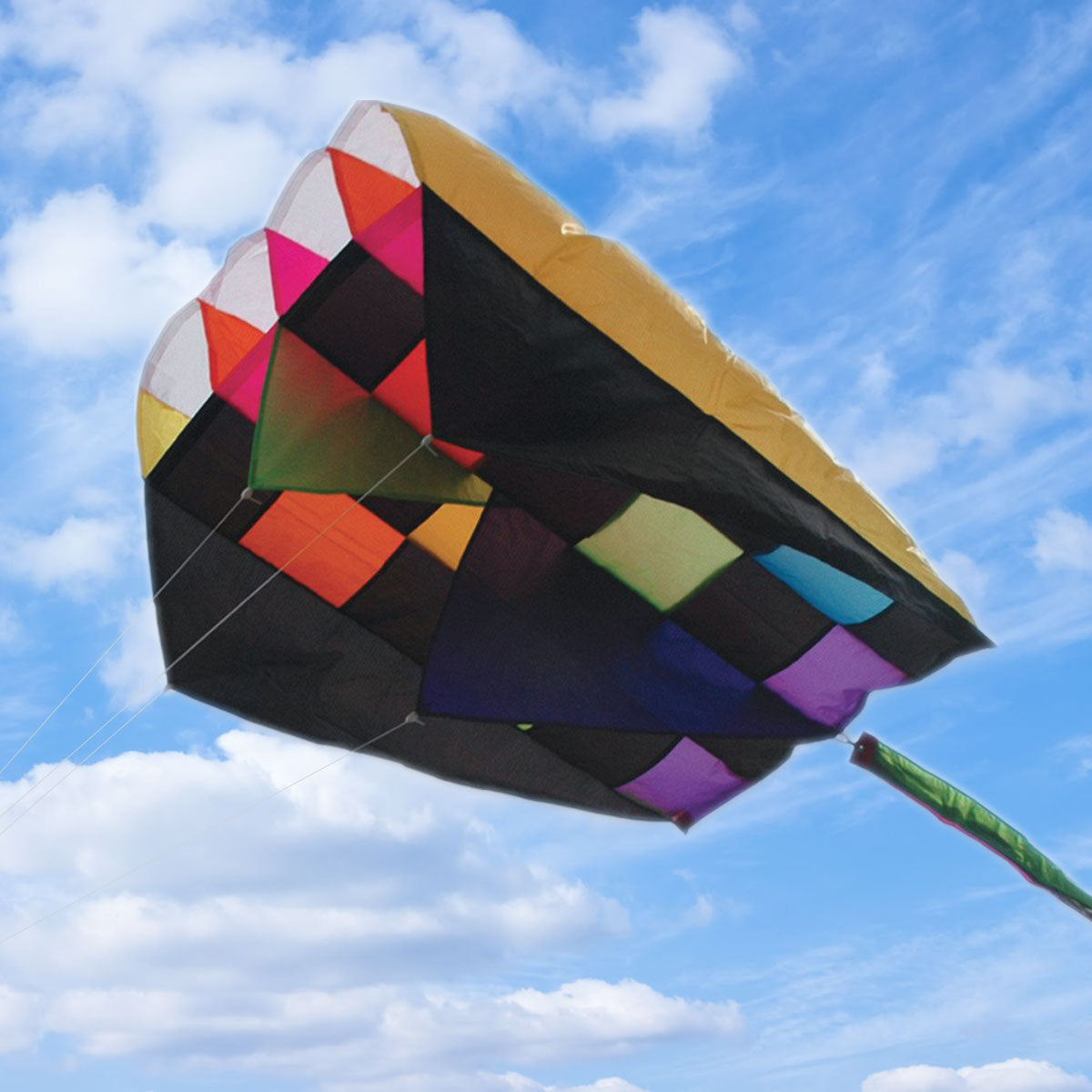 Parafoil 2 Kites from Premier Kites