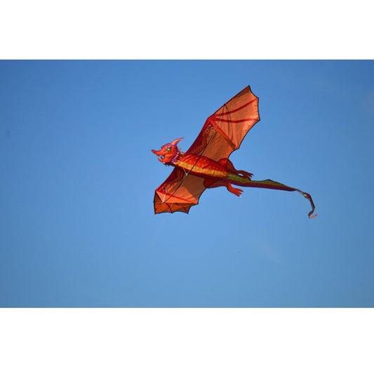 3-D Dragon Kites from Premier Kites