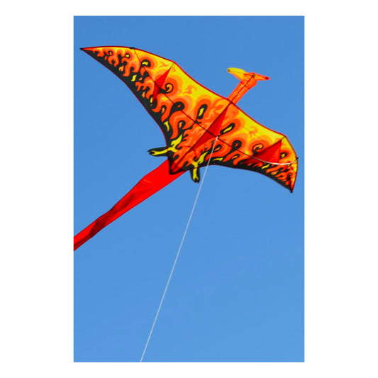 Phoenix Kite from Premier Kites