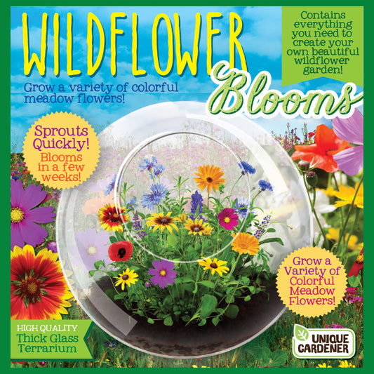 Unique Gardener Wildflower Blooms Glass Terrarium