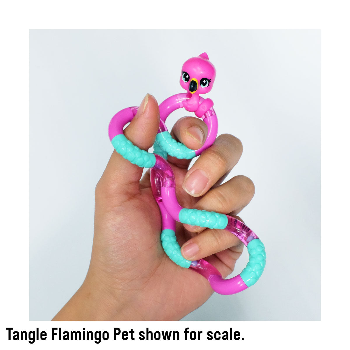 Tangle Jr Aquatic Pets