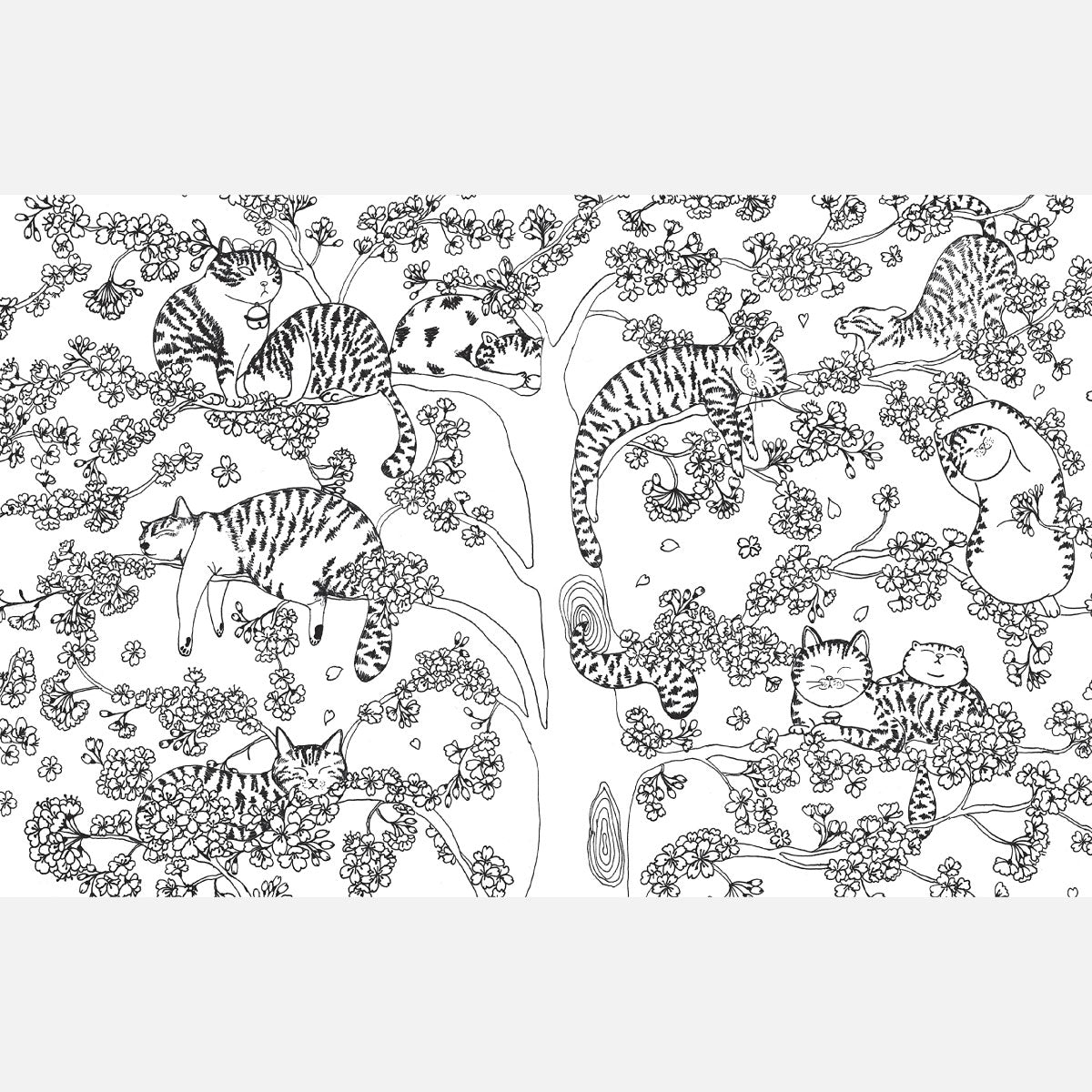 A Million Cats Coloring Book by Lulu Mayo